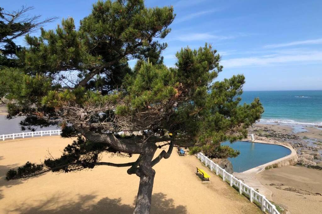 Belle Maison Neo-Bretonne A 5 Minutes De La Mer Treveneuc Bagian luar foto